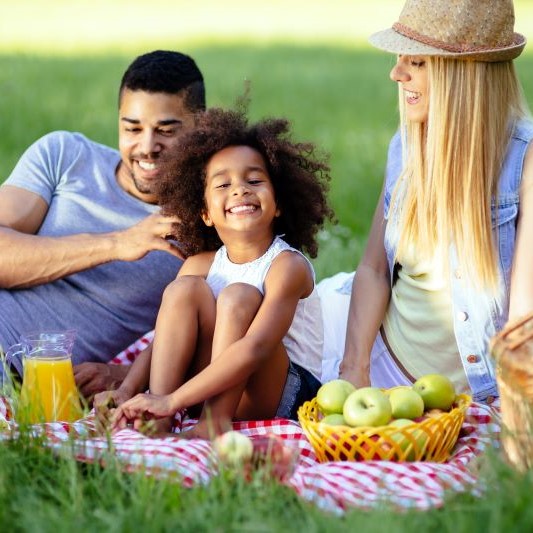 Family having a healthy picnic square