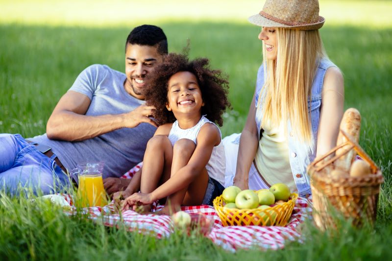 Family having a healthy picnic