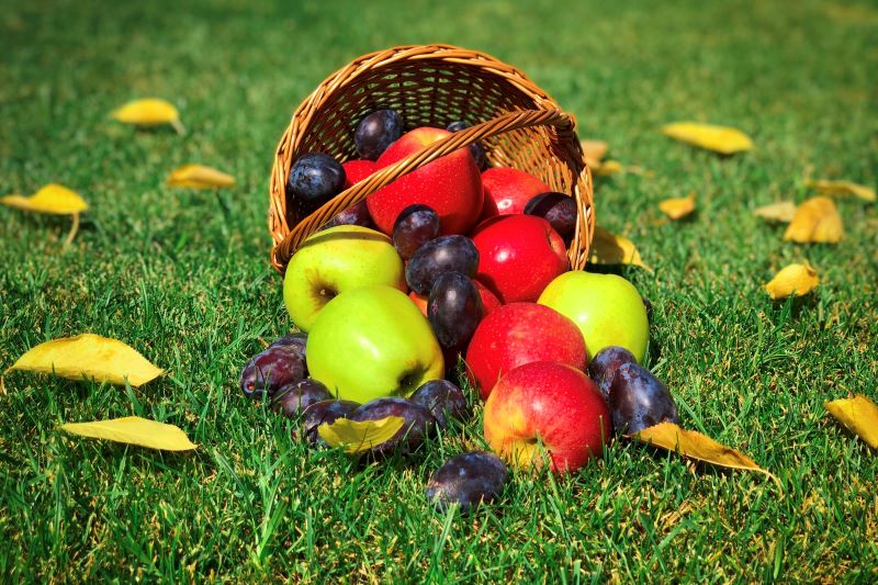 late-summer-fruits