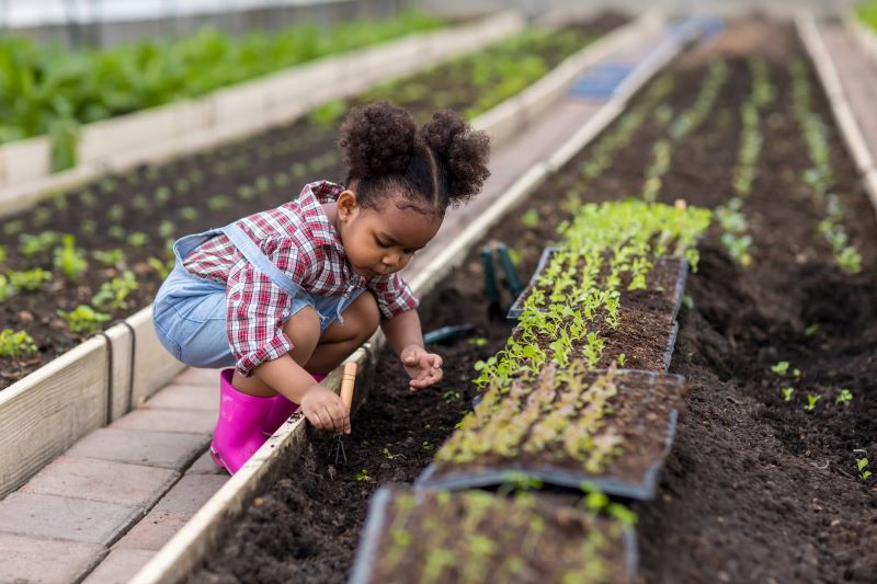 child in vegetable garden